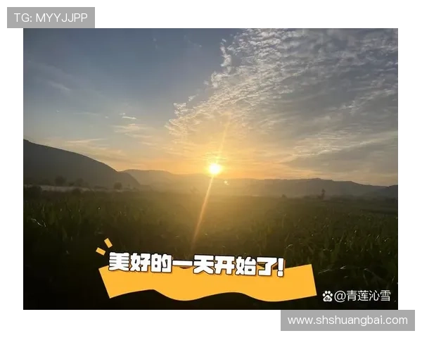 健康早班车：开启活力满满的一天，从这里出发！